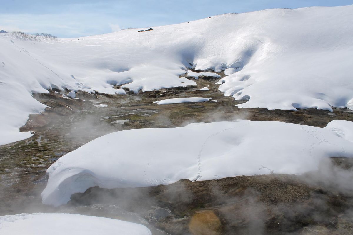 Дачные источники (на вездеходе)