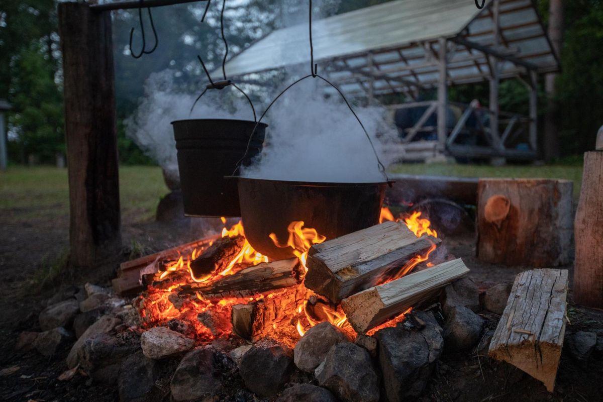 Весенний тур "Кенозерские пикники"