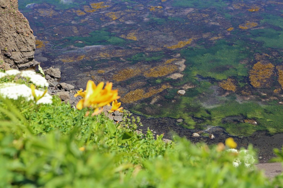 Бухта Тихая