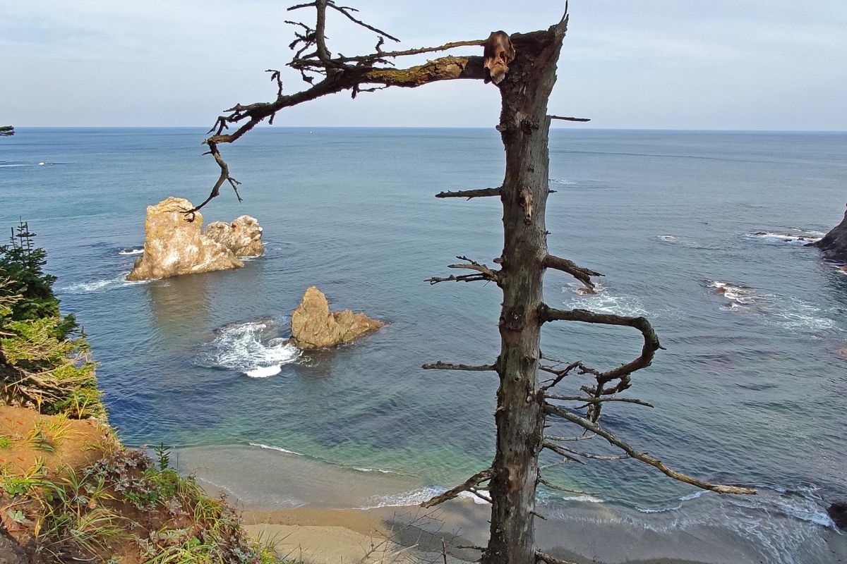 Мыс Великан