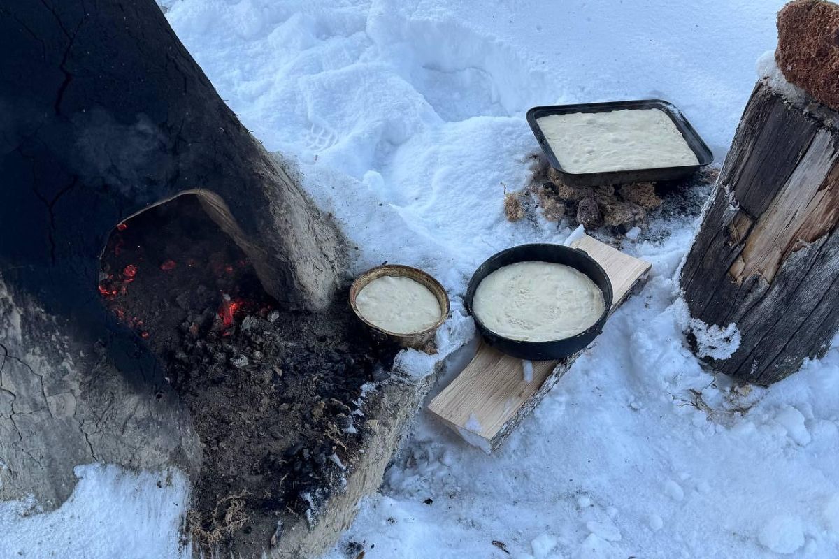 Арктическая амазонка