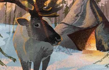 Чумовой Ямал: экспедиция к овцебыкам, мамонтам в горную тундру Полярного Урала