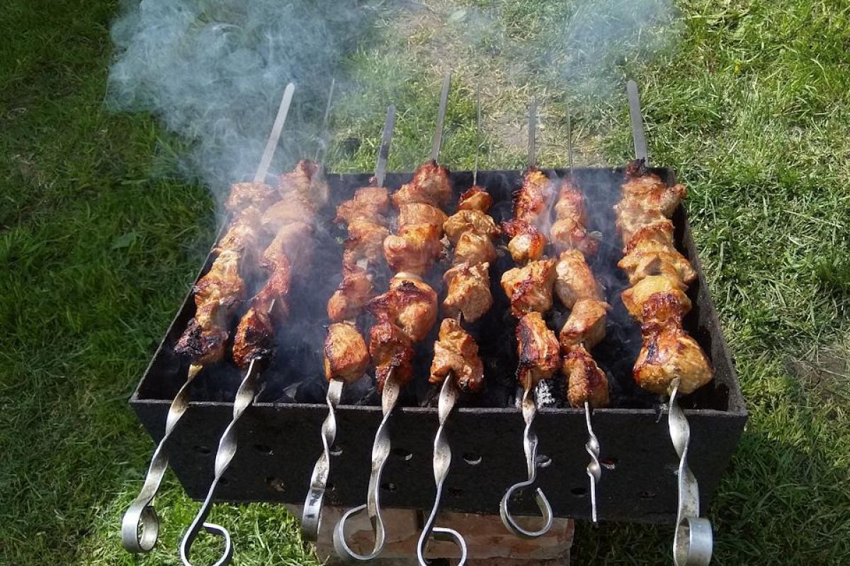 Весенний тур "Кенозерские пикники"