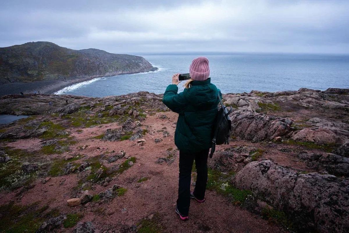 Териберка пешая