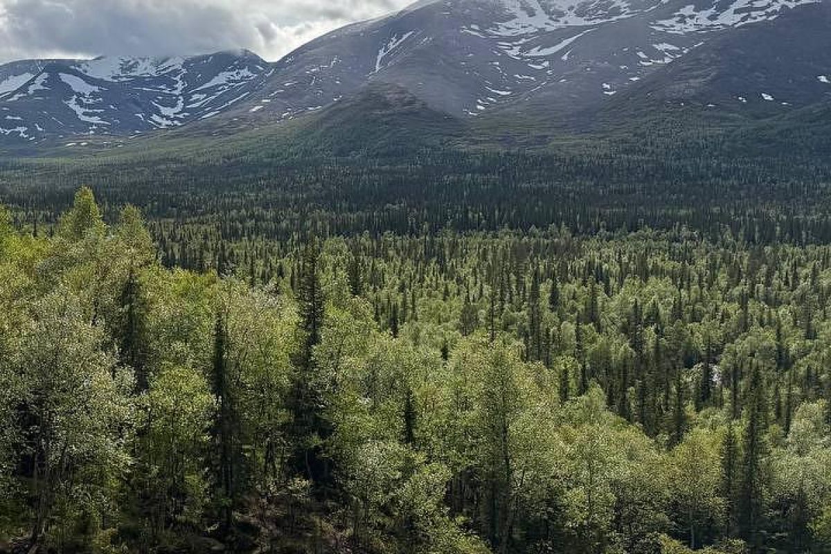 Джип тур в Хибины