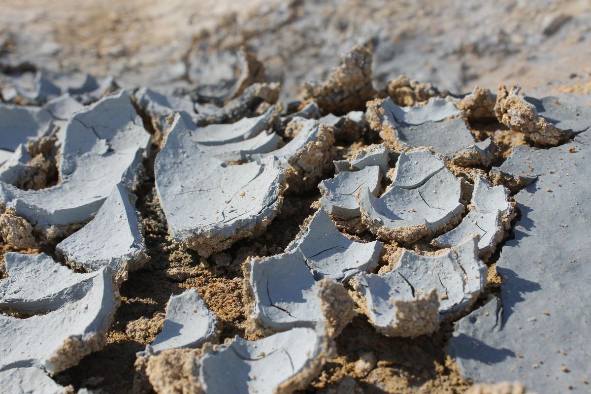 Дачные источники (на вездеходе)