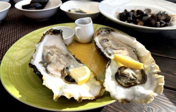 Тур "Тигры.Устрицы.Мосты"