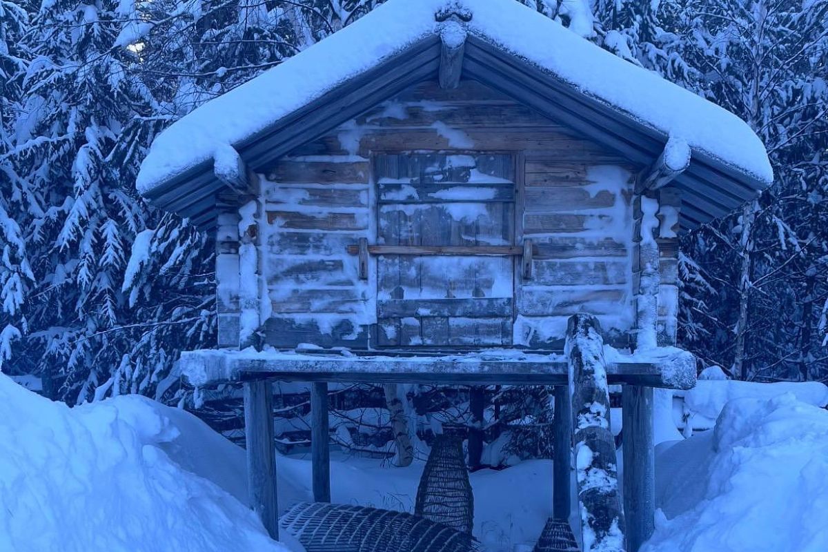 Арктическая амазонка