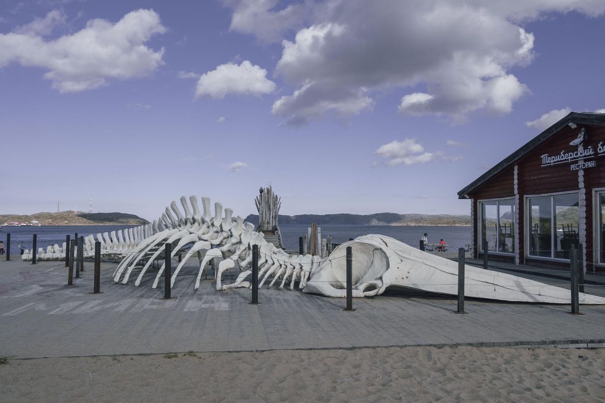 Териберка – наедине с суровой красотой (летняя программа)