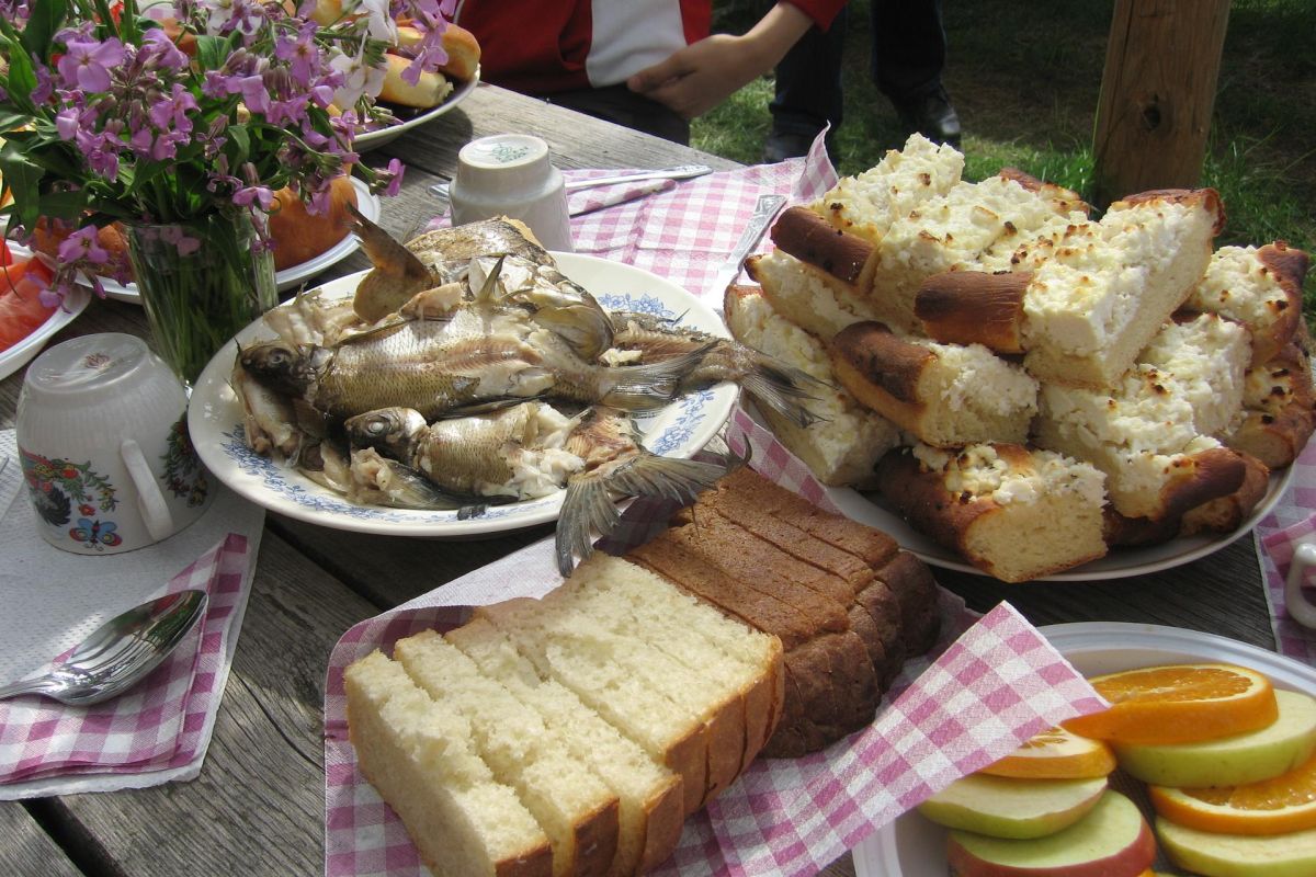 Весенний тур "Кенозерские пикники"