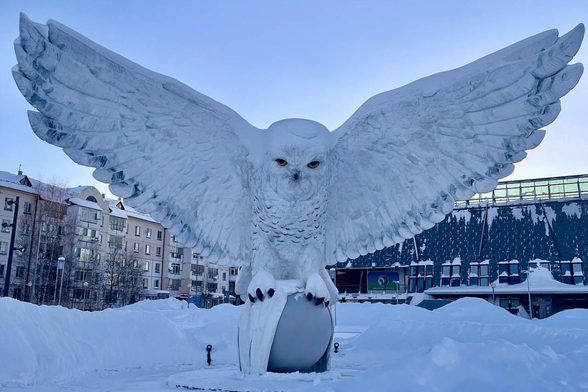 Арктическая амазонка