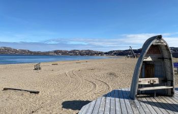 Териберка пешая