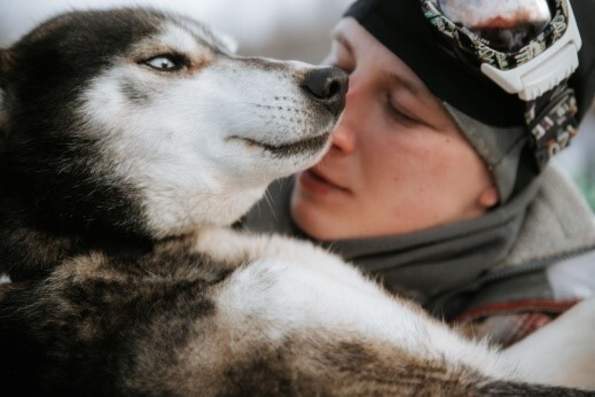 Камчатка. Вода и пламя 2026