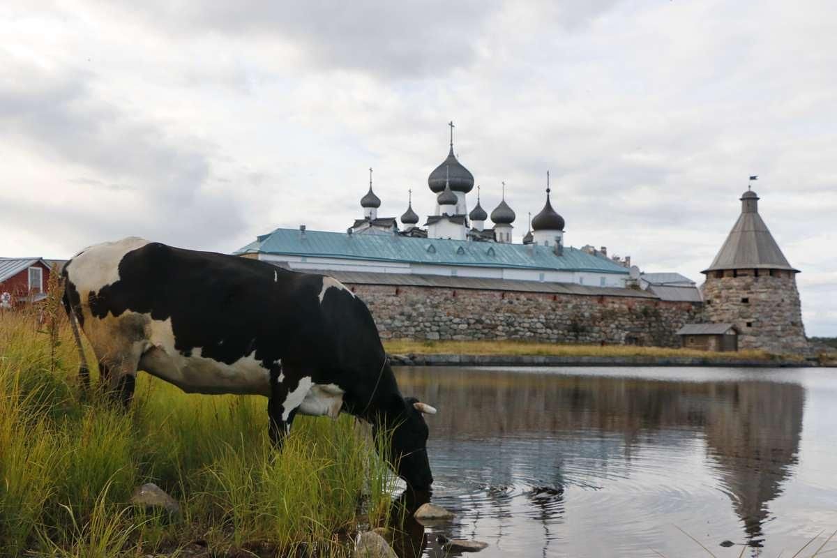 Карелия + Соловки