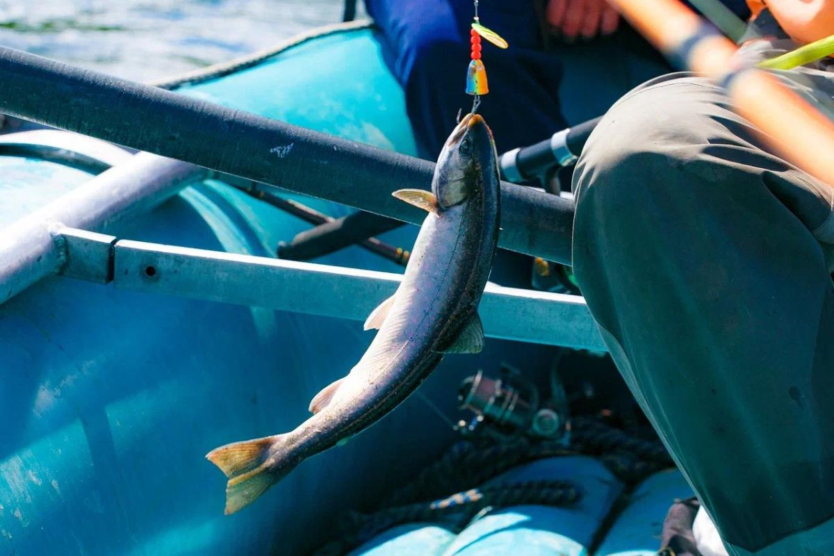 Сплав по реке Малкинская (Быстрая). Купание в Малках