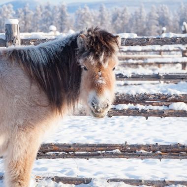 Арктика – это холод. Всегда