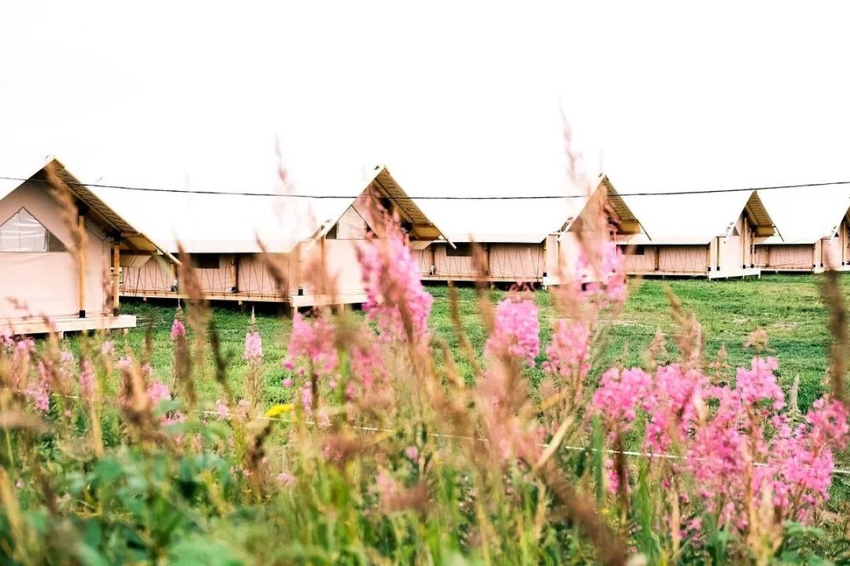 Недетишкина жизнь