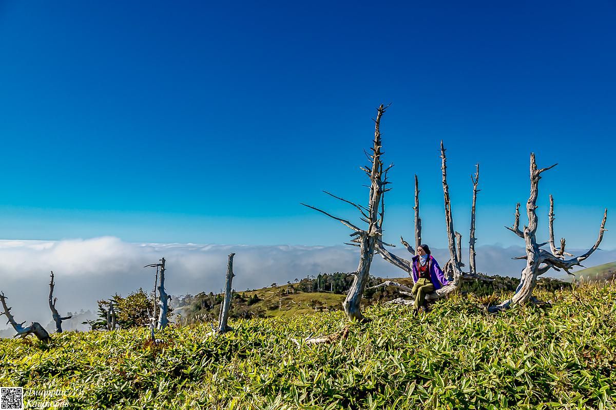 Кунашир и Шикотан. Путешествие на другую планету