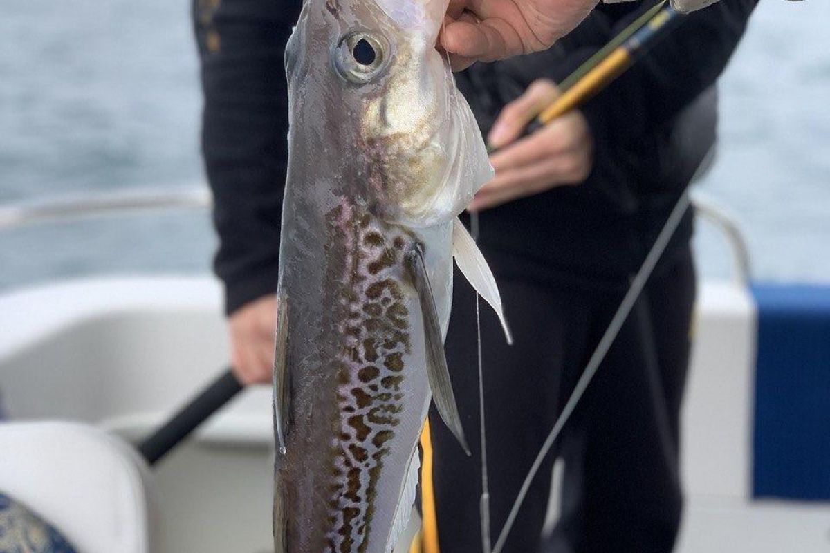 Свидание с Камчаткой в ИЮНЕ (комбинированный тур на внедорожниках, без палаток и восхождений)