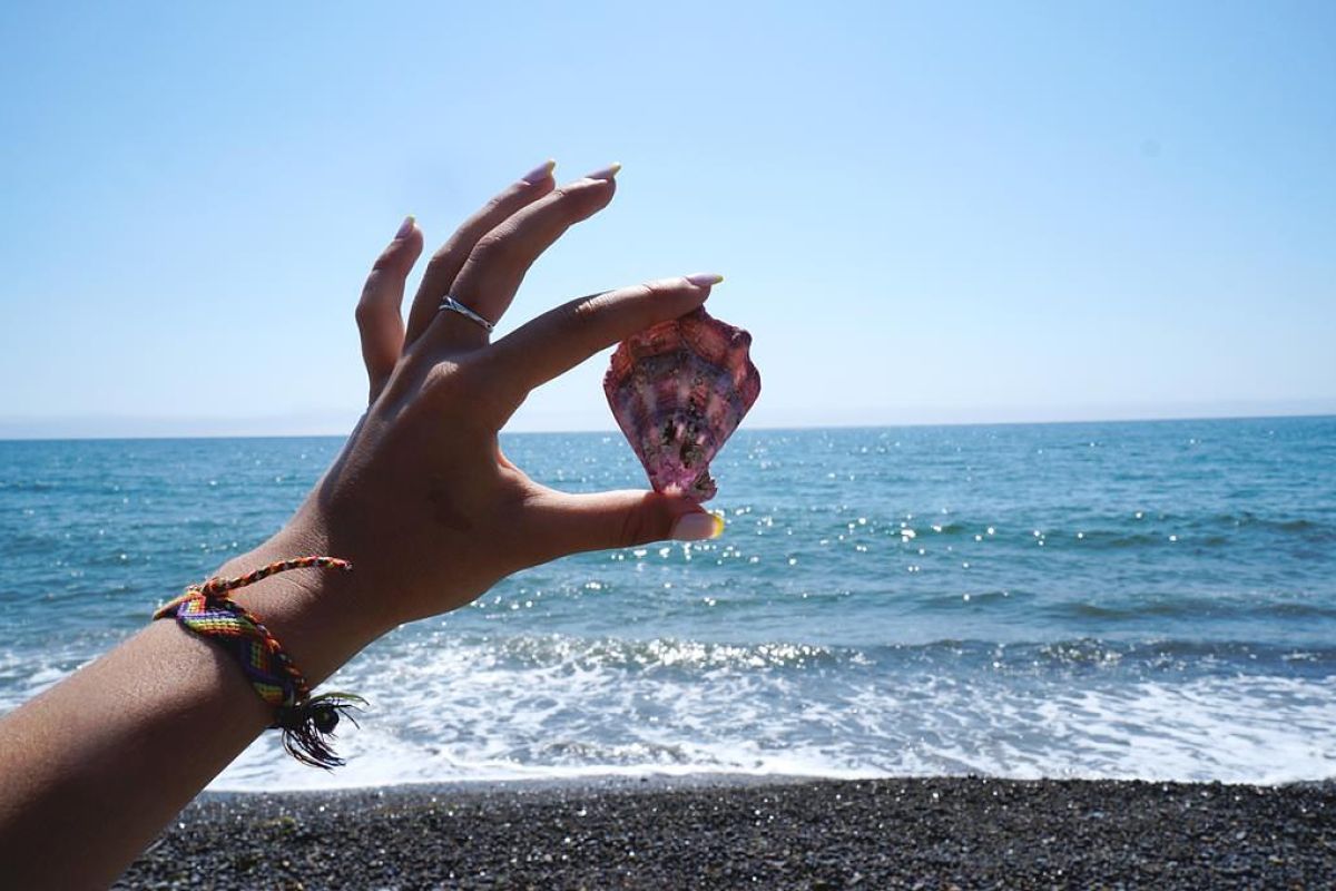 Тур "Заповедное Приморье: с юга на север"