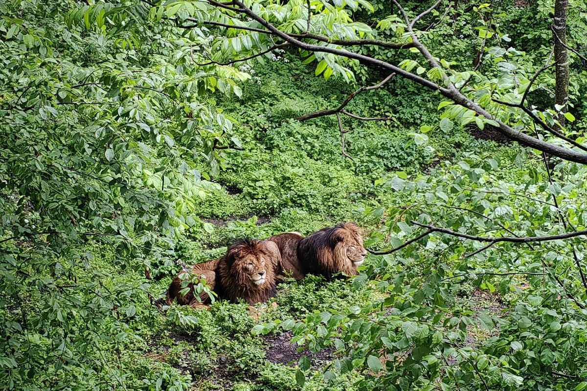 Тур "Приморье + Сахалин"