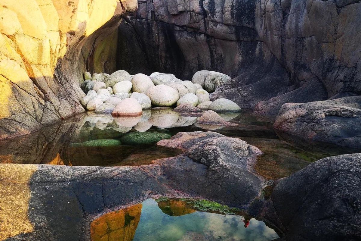 Териберка: морская прогулка в поиске китов