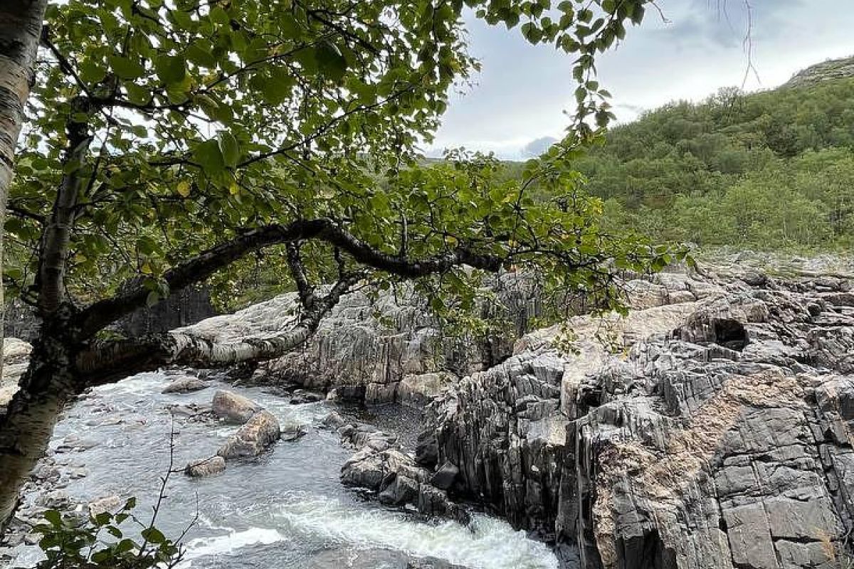 Мурманск. Ночное солнце