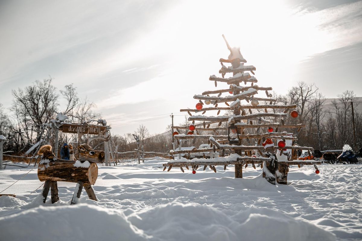 Катание на собачьих упряжках + Этническая экскурсия