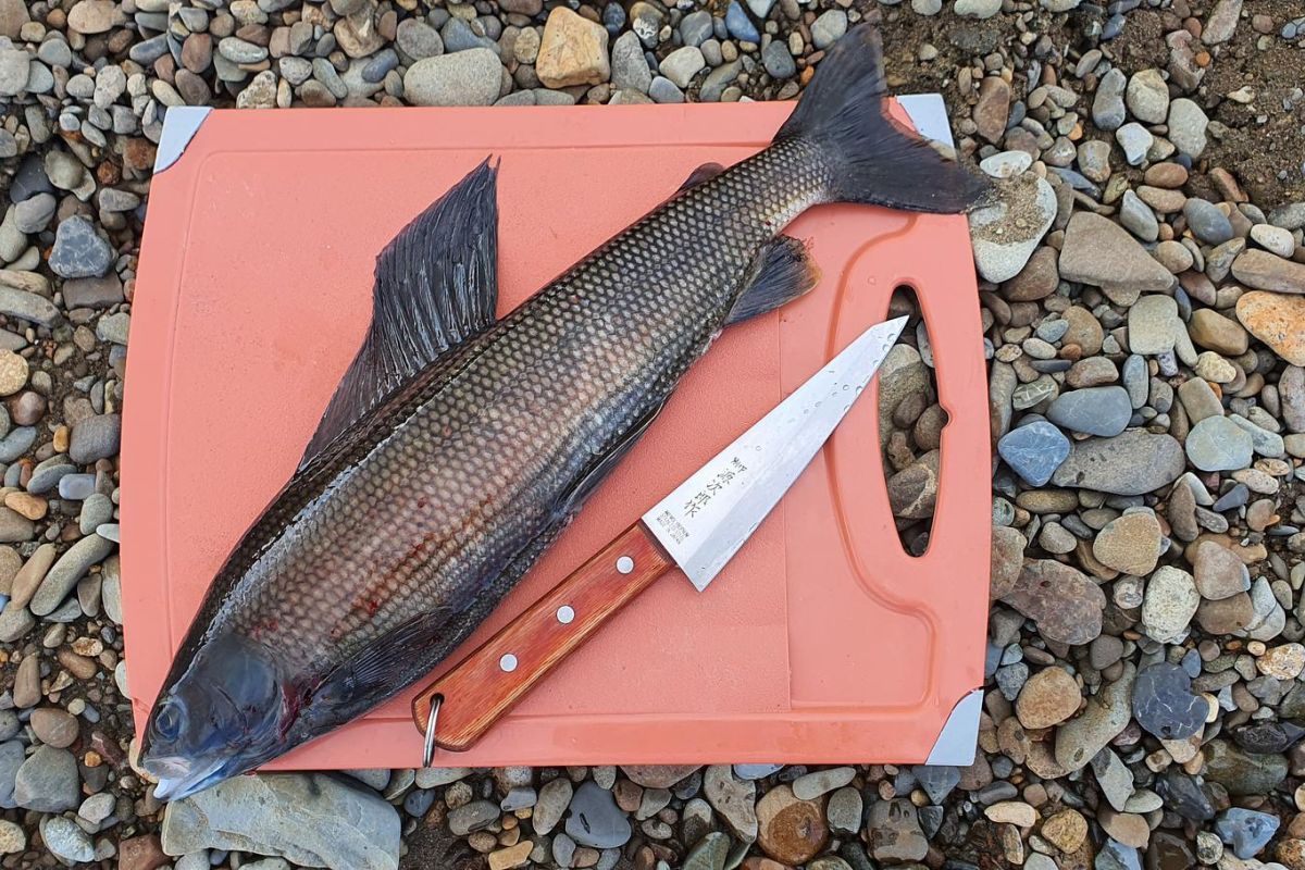 Озеро Красное – трофейная рыбалка в центральной Чукотке