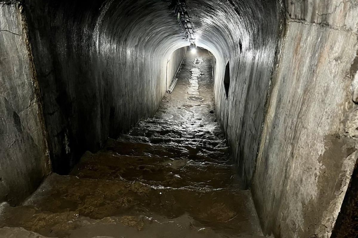 Тур "Открой Владивосток"