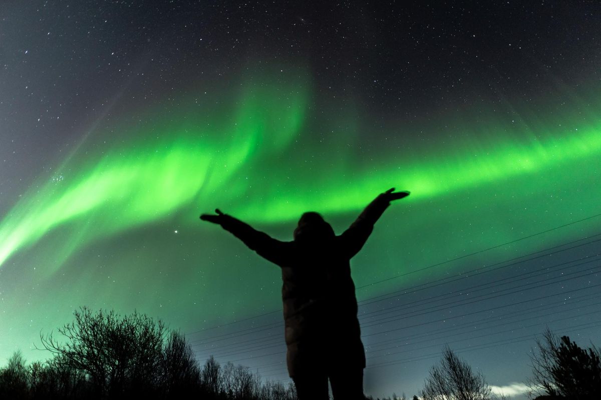 Аврора. Море. Ты. (морская прогулка)