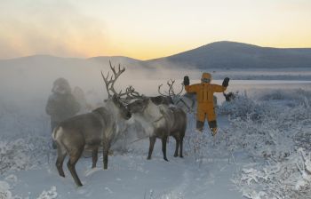 День Оленевода