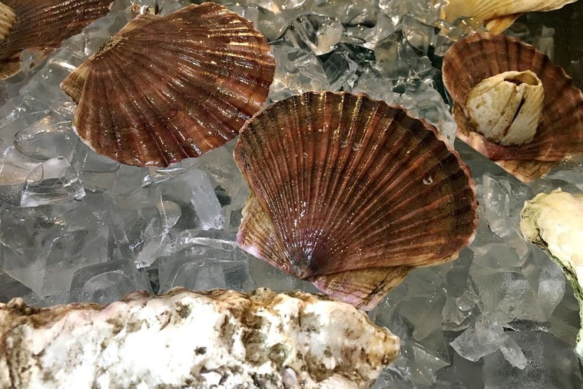 Тур "Семейное путешествие во Владивосток"