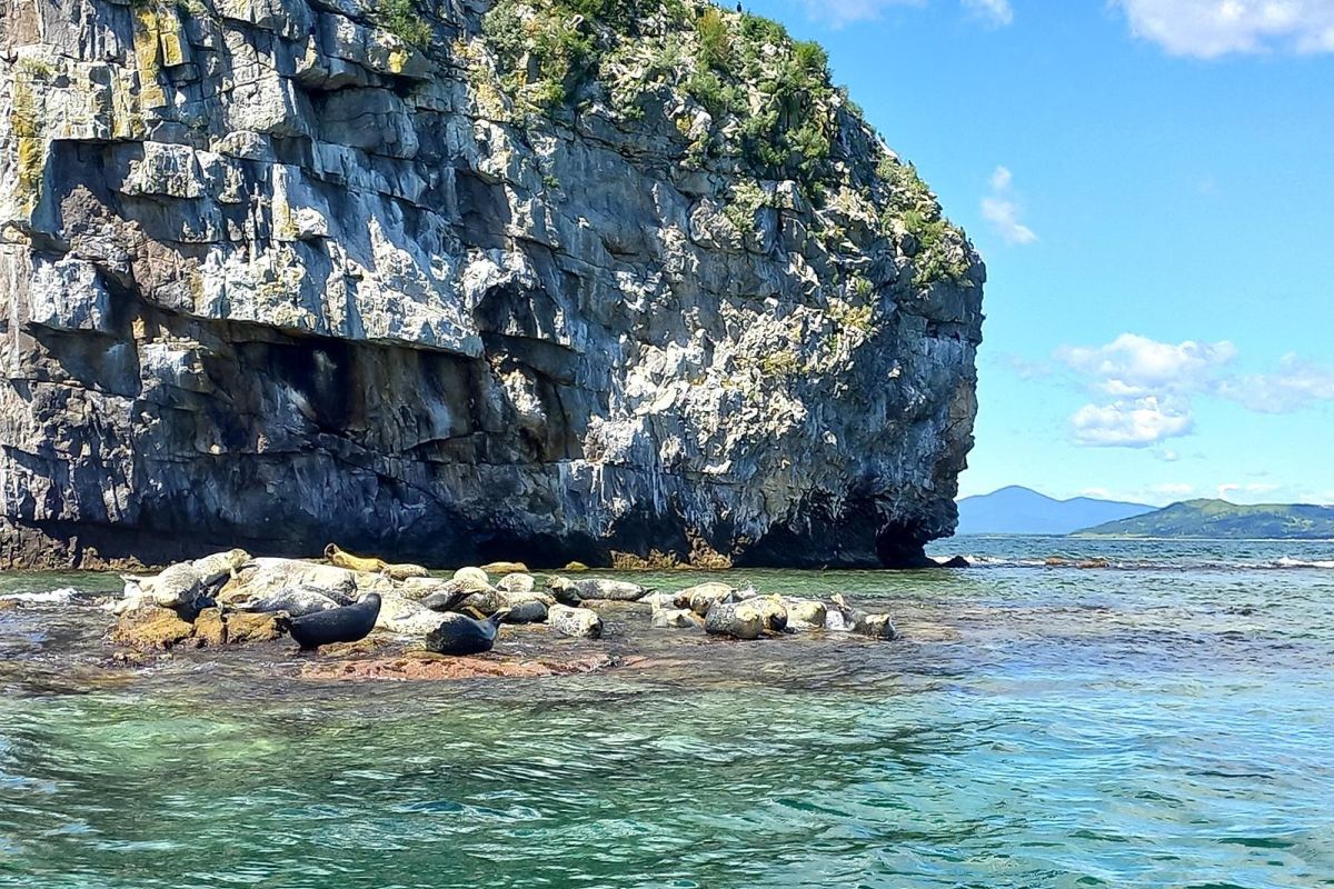 Тур "Дыхание весны у моря" (1 - 6 мая 2026)