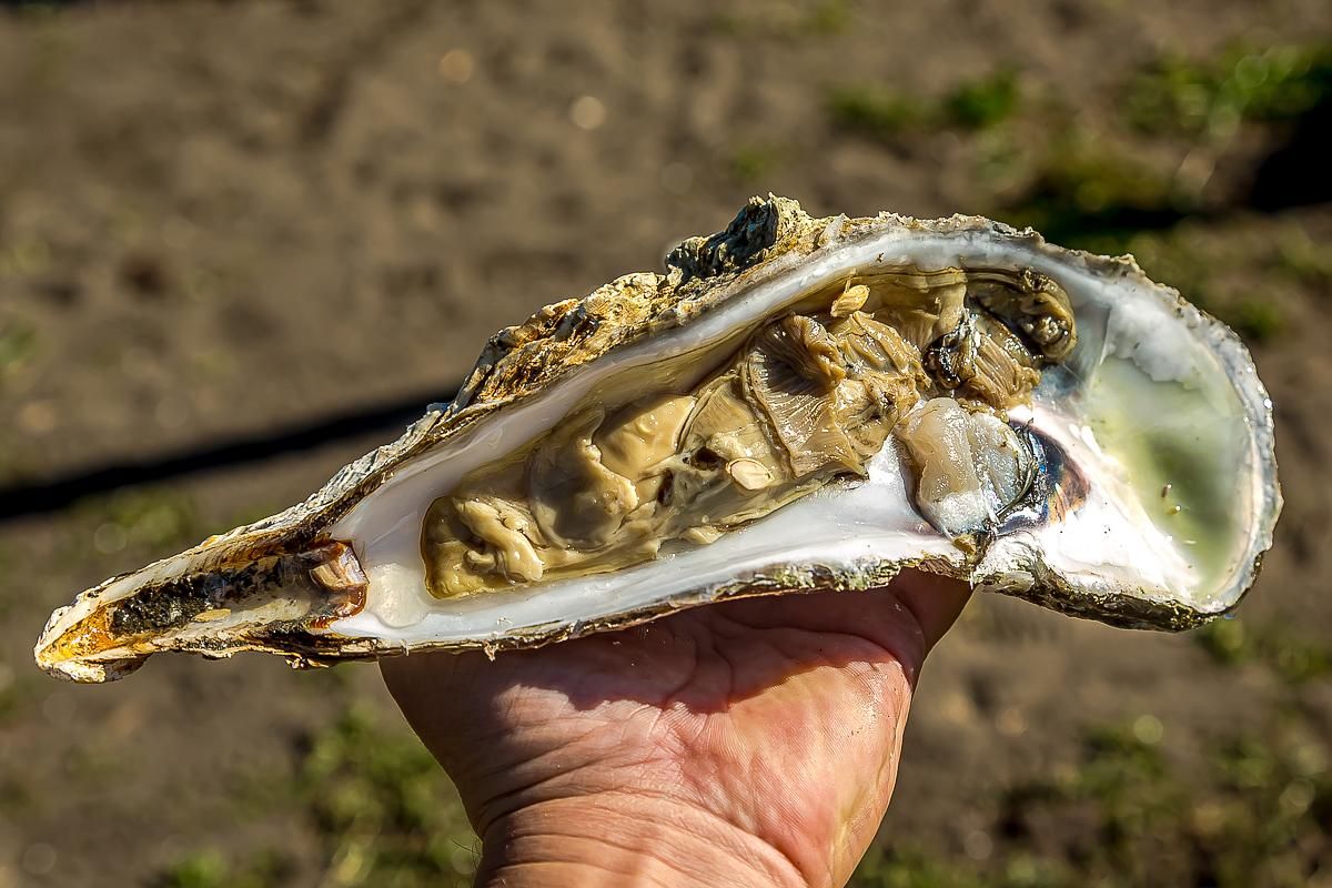 Перезагрузка на Итурупе. Путешествие на другую планету