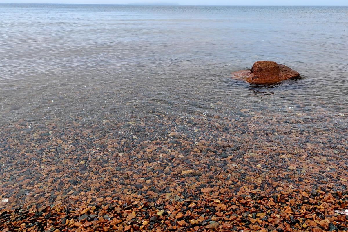 Тур "Открой Владивосток"