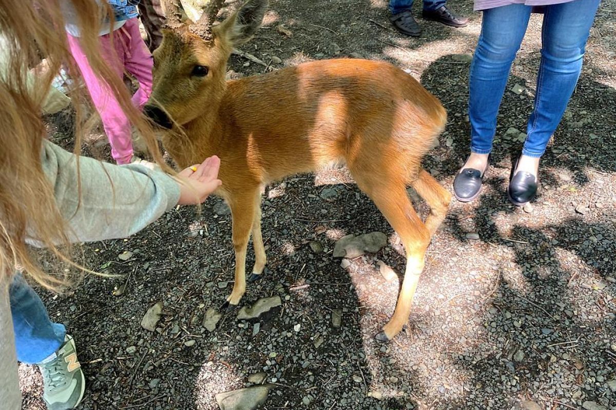Тур "Владивосток – город у океана"