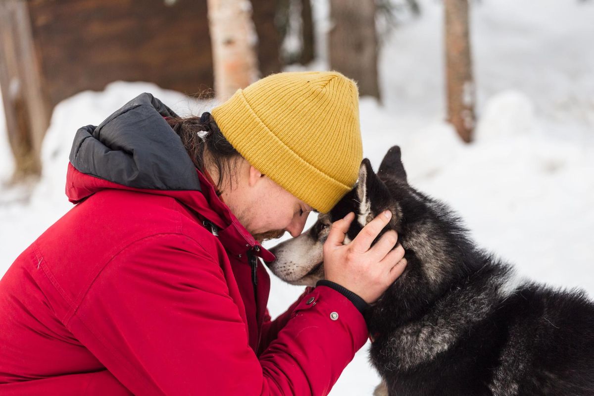 Аврора. Море. Ты. (пешая прогулка)