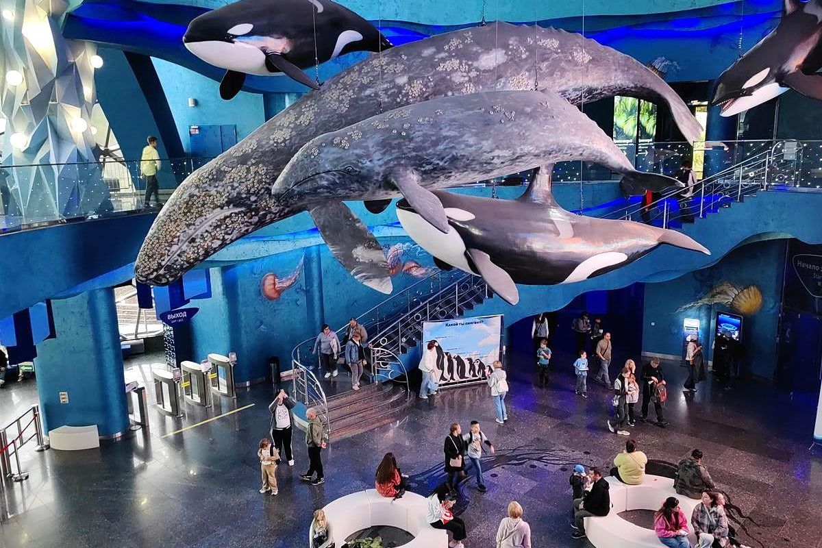 Тур "Лотосы и море"