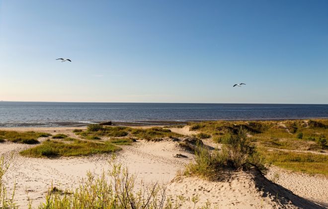 Морские прогулки по Белому морю