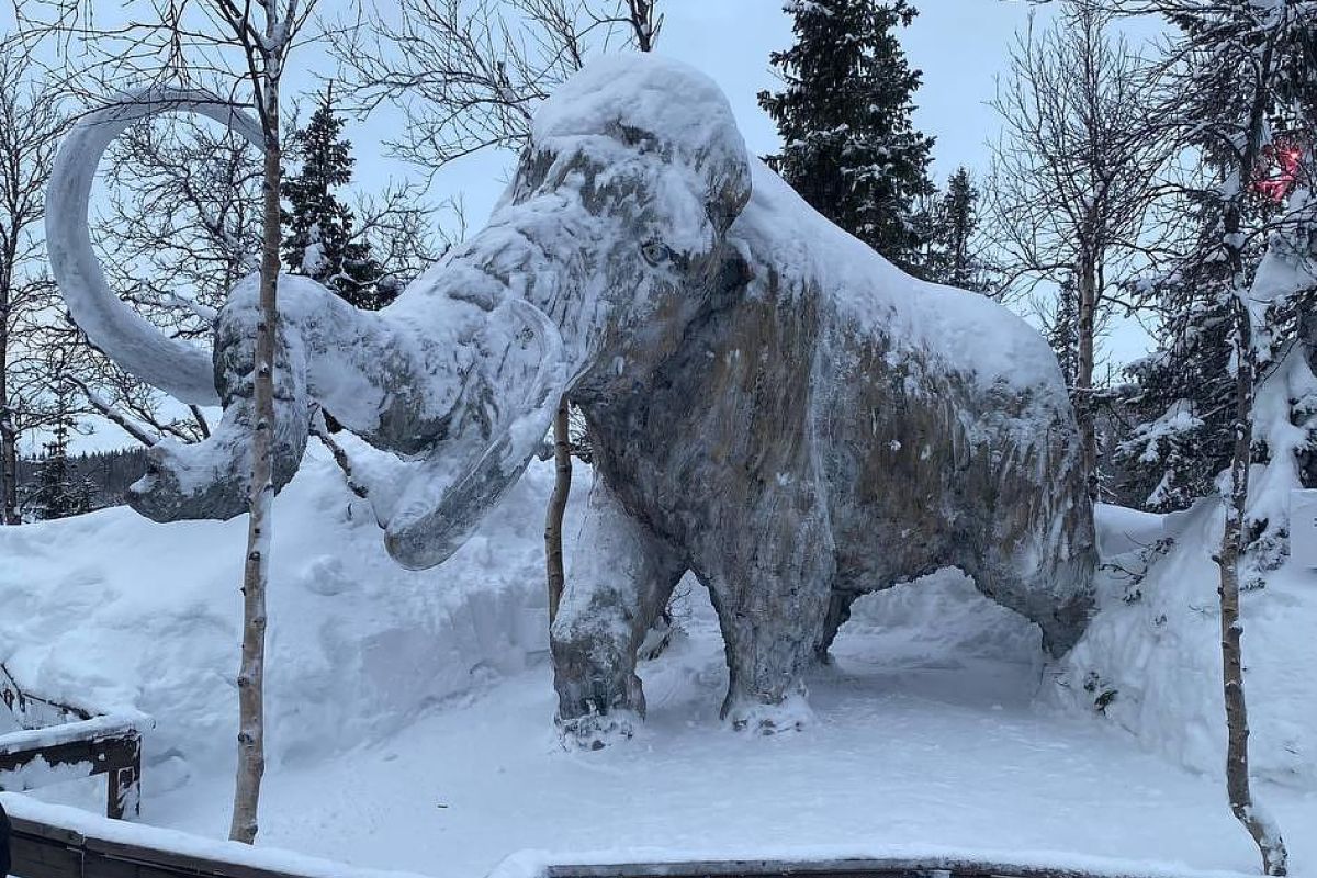 Кировск - Хибины