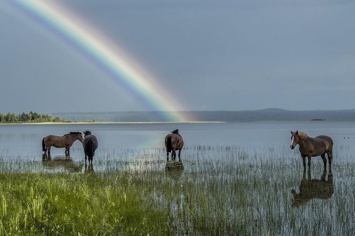В край былинный, сказочный