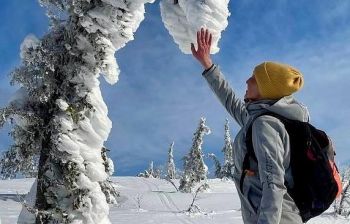 Снежный май