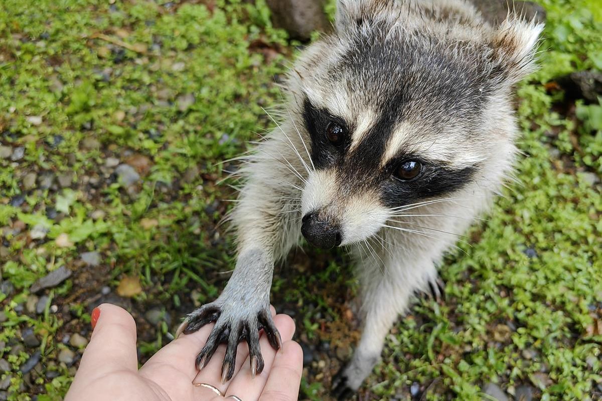 Тур "Приморье + Сахалин"