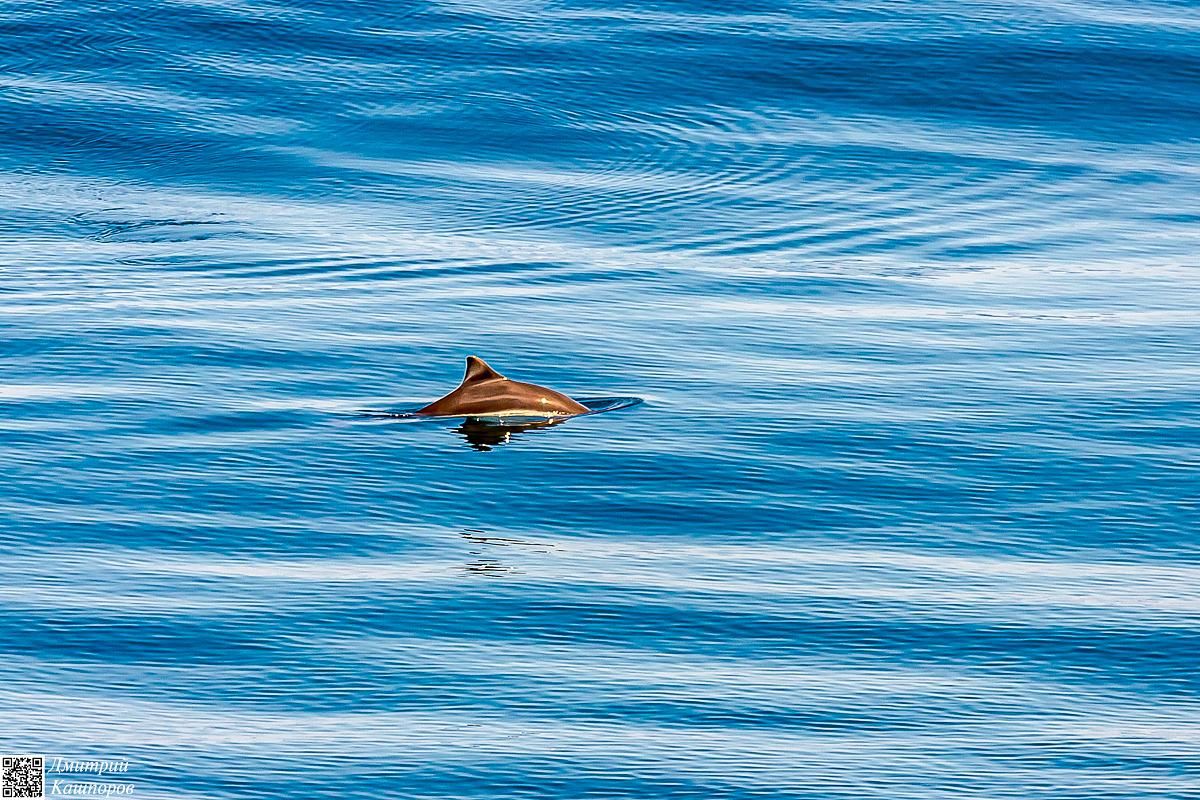 Итуруп и Шикотан. Путешествие на другую планету