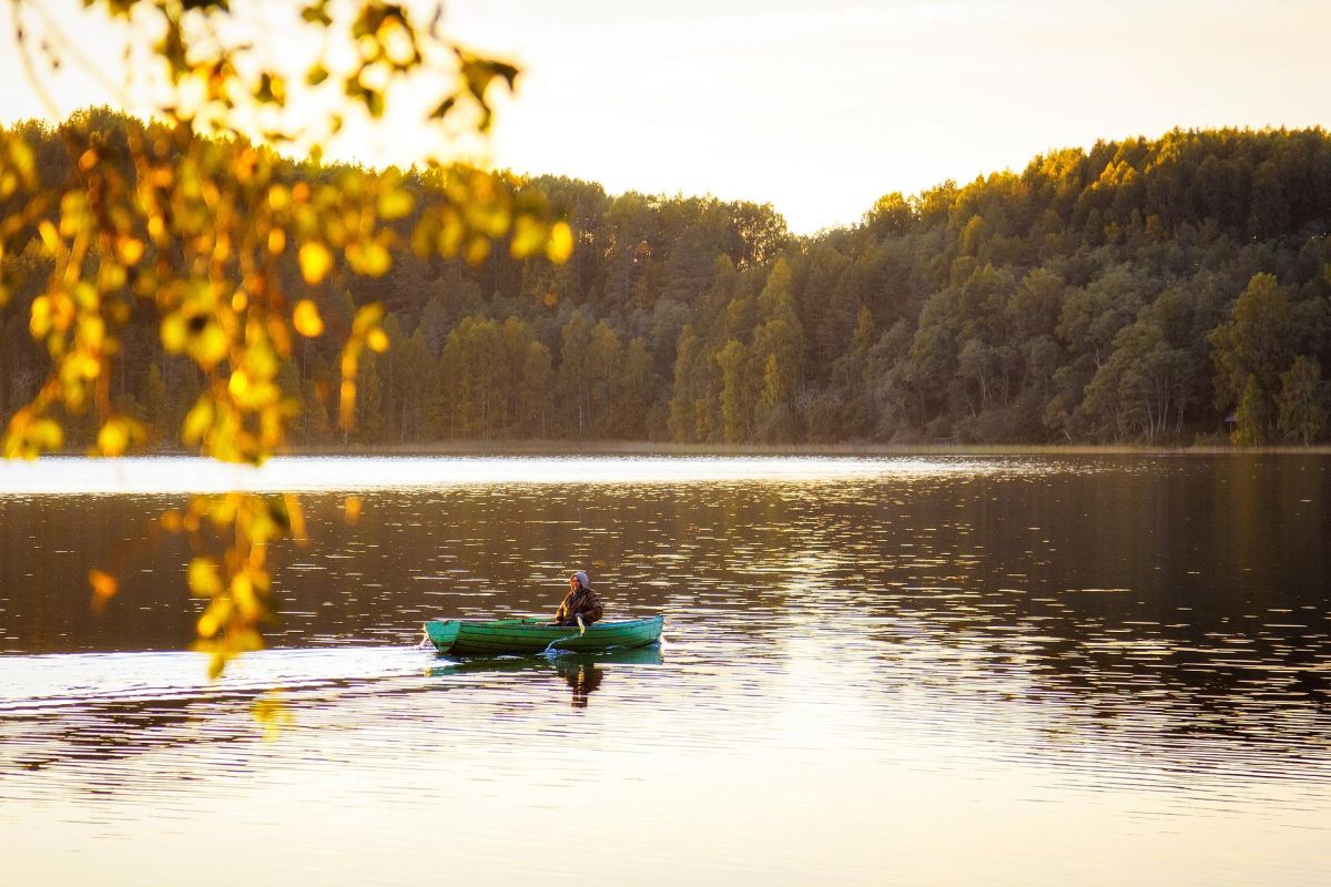 ТУР ДЛЯ ШКОЛЬНИКОВ "ВЫХОДНЫЕ В ЛЕСНОЙ ИЗБУШКЕ"