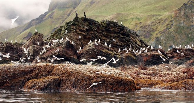 Командорские острова