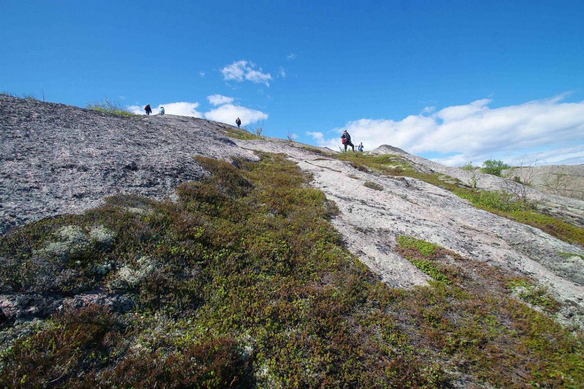 3 дня - о. Немецкий (Кузова) - о. Соловецкий