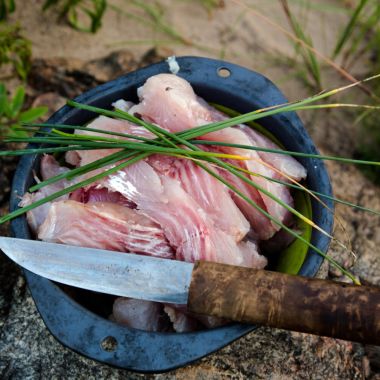 Арктика – место калорийной еды