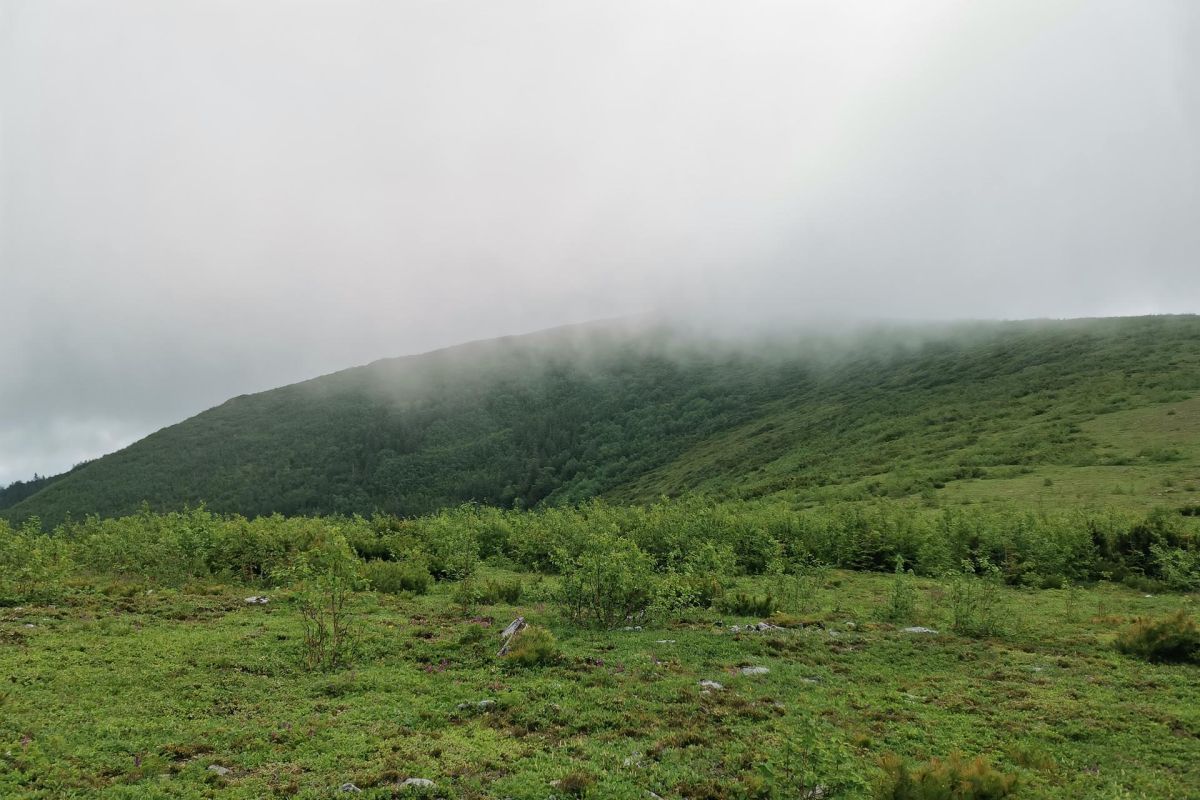 Горные купола Тукурингры